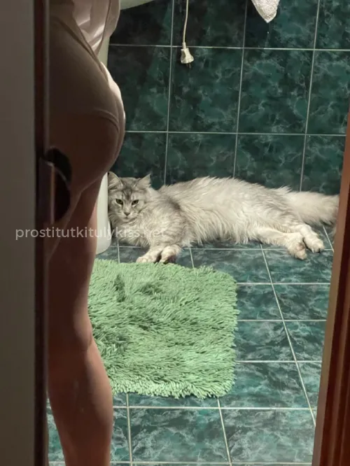 Проститутка Виктория - Фото 3 №200881